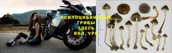 прущая мука Каменск-Шахтинский