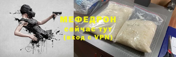 мдпв Каменка