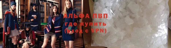 мдпв Каменка