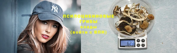 мдпв Каменка