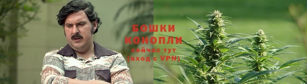 мдпв Каменка