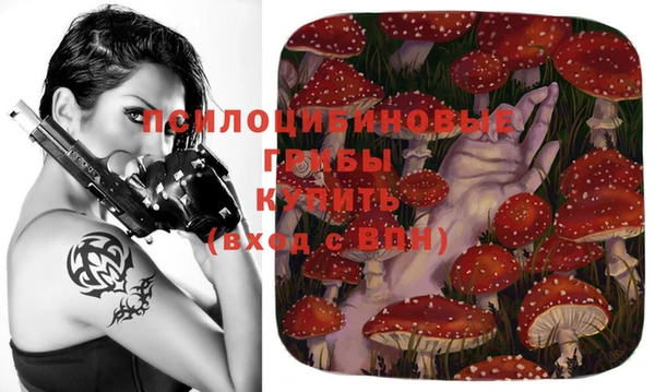 мдпв Каменка