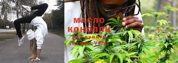мдпв Каменка