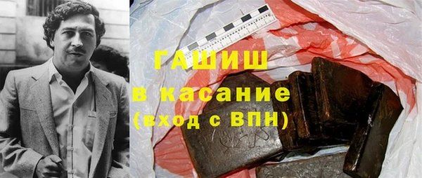 мдпв Каменка