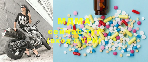 мдпв Каменка