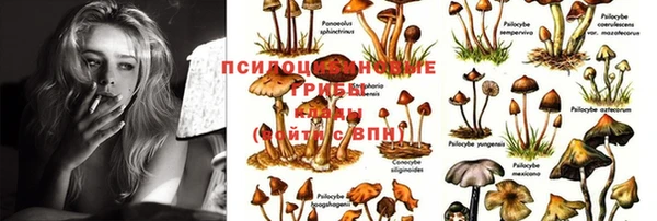 прущая мука Каменск-Шахтинский