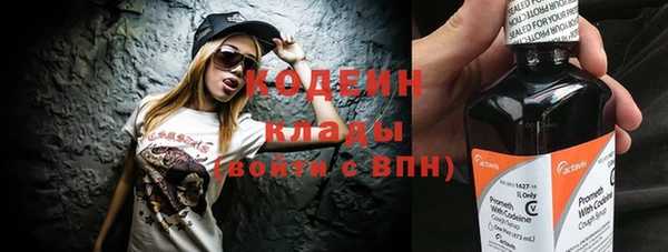 мдпв Каменка