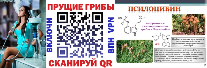 Купить  Советский  Галлюциногенные грибы Magic Shrooms 
